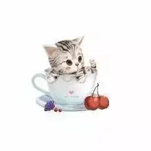 萌宠盘点猫咪那些奇葩的睡姿