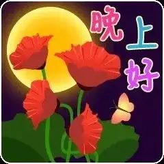 老年人爱用的很ok的表情包
