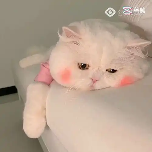 别的女孩子生气了还会跟你撒娇我不行我会说脏话删好友还会跟你犟到底