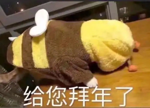 求养成纸片人后奔现的文