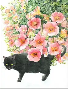 治愈系猫咪