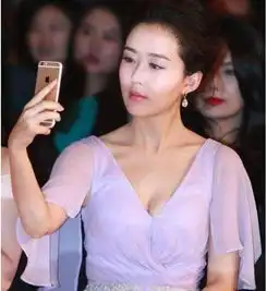娱乐圈十大未解之谜其一苏有朋和颜丹晨到底是夫妻吗