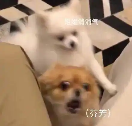 表情包你喜欢我吗我有一点点喜欢你
