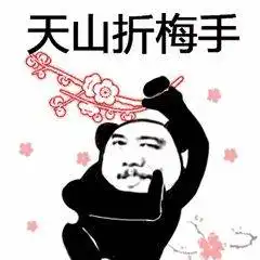 江湖探讨你也会百分百空手接白刃天山派绝技之天山折梅手