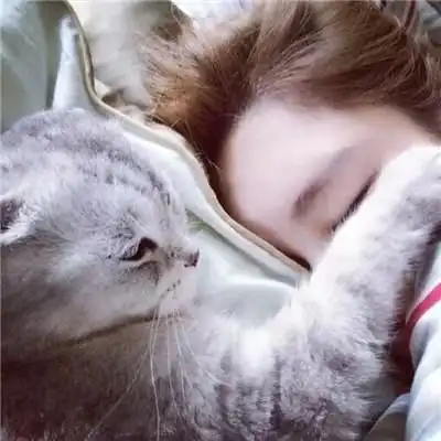 猫系少年图片头像女庆生