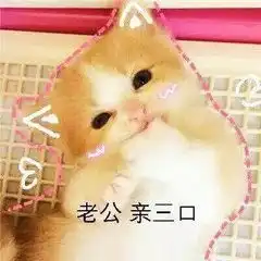 拥抱安慰的表情包可爱
