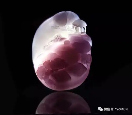 惊绝中国秦紫玉新作赏,大师亲作,工绝色美,引人无限遐想purple