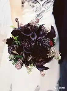 难得一见的黑色系花材都在这了,美是真美,贵是si贵