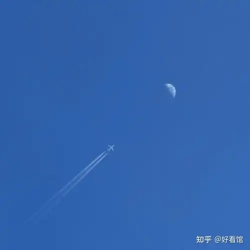 极简深意头像紫色