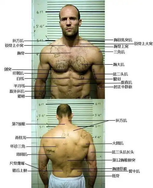 杰森斯坦森世界上最帅的光头大开鲨戒,这个奔50岁的男人,丝毫不显老,自律的男人太可怕了搜狐文化搜狐网