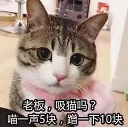喜欢撸猫的进来,点进来让你一次撸个够二