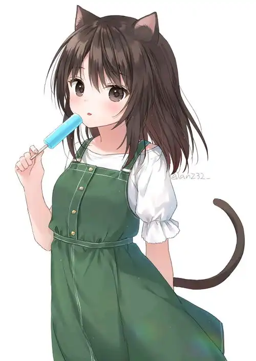 哔哩哔哩专栏