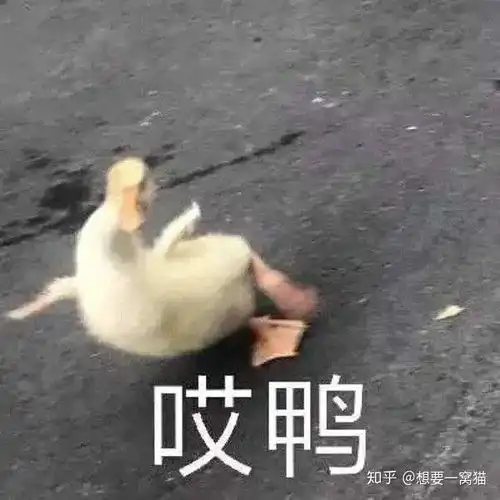 挽回对方感情的表情包生