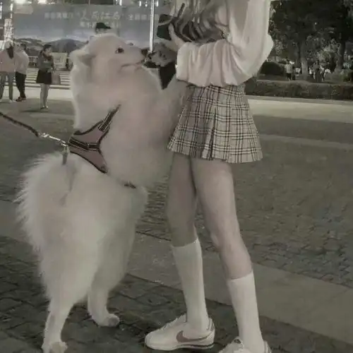 萌系甜美女生头像全智贤
