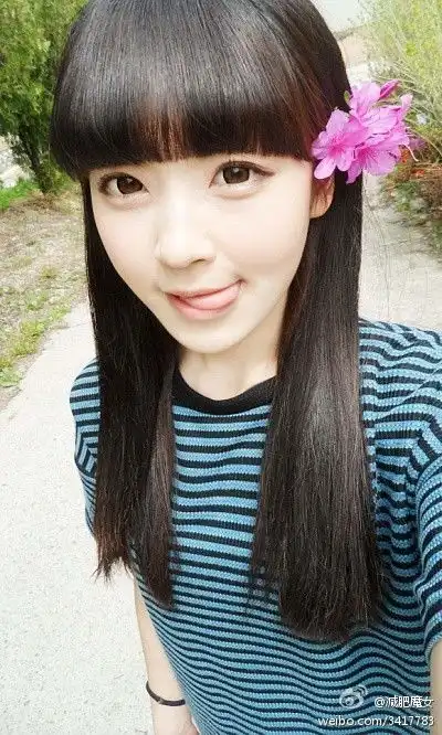 堆糖,美好生活研究所