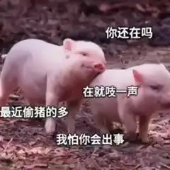 爆可爱动态小表情包,这才是猛男该用的表情包,建议收图