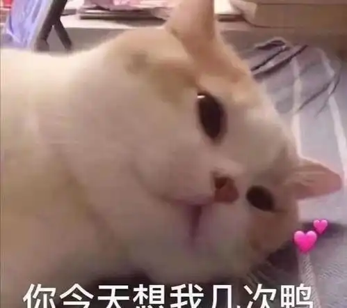 搞笑gif开心一刻妹子,心里素质真好