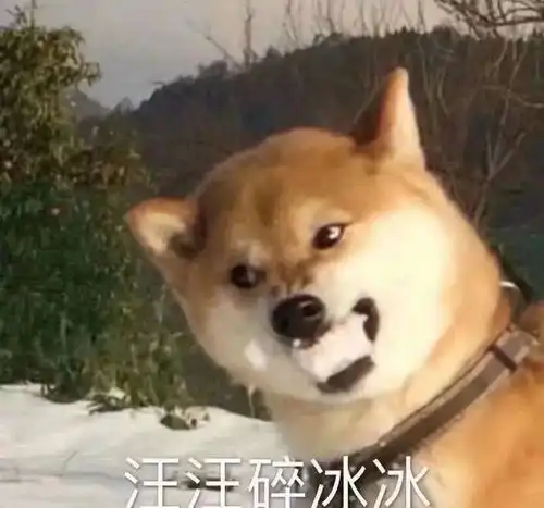 小布丁盐水棒冰这些青浦人从小吃到大的冷饮,你吃过几种