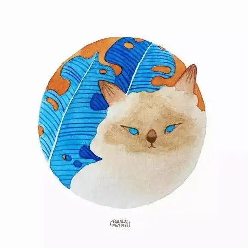 用水彩画下猫咪的各种逗逼丑照,猫知道吗