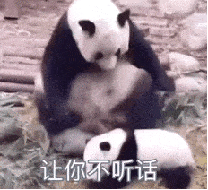 呼叫臭猪