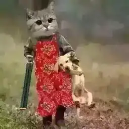这张图片什么意思