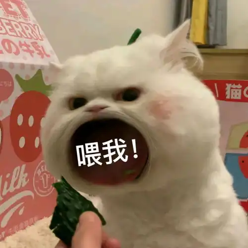 大嘴巴小猫大喊大叫表情包不完全合集