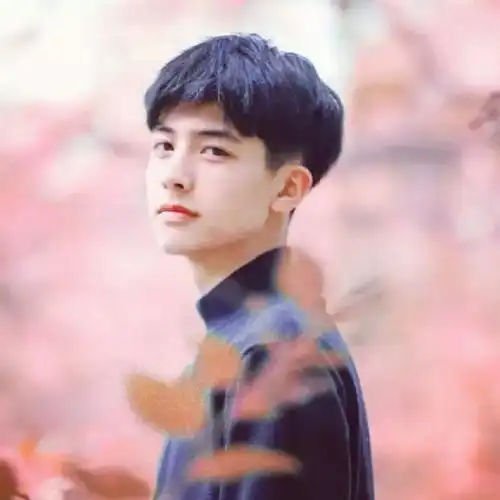 男生衬衫头像禁欲系杨幂