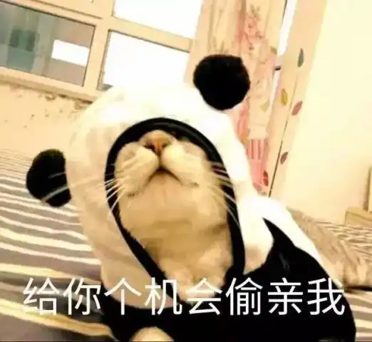 看机会又来了表情包亲我