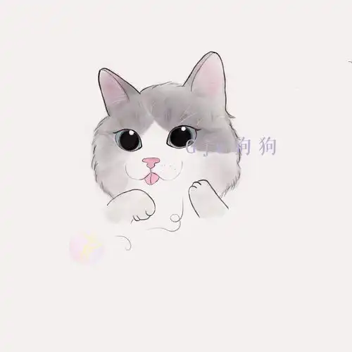 可爱的猫咪头像