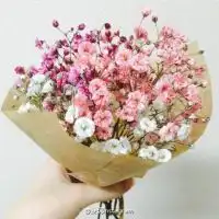 微信头像一堆花