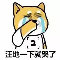 当七夕遇上台风你们撒着狗粮,我们护着安全
