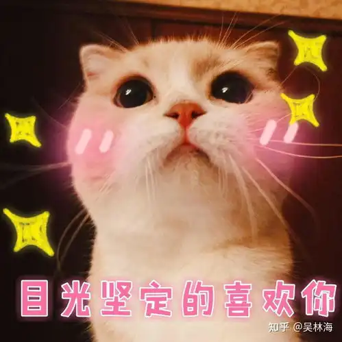 汤圆酱猥琐萌表情包