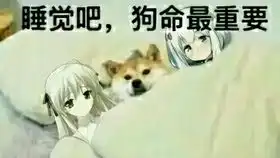运送马车任务失败会发生什么