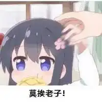 讽刺二次元的表情包
