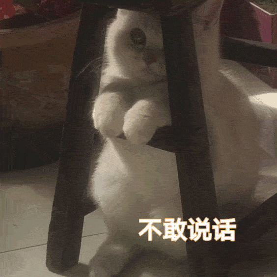 抖音热门表情包精选