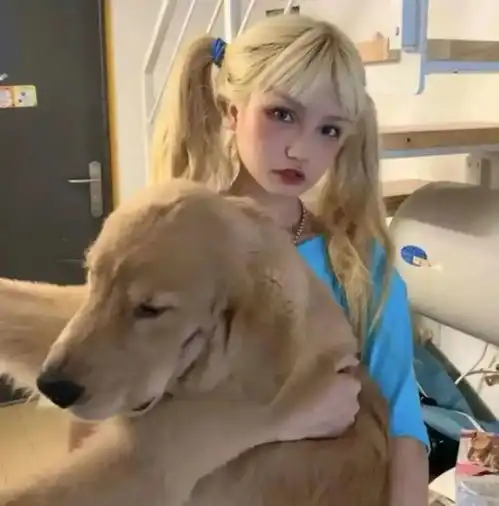 猫咪头像真人系头像图片