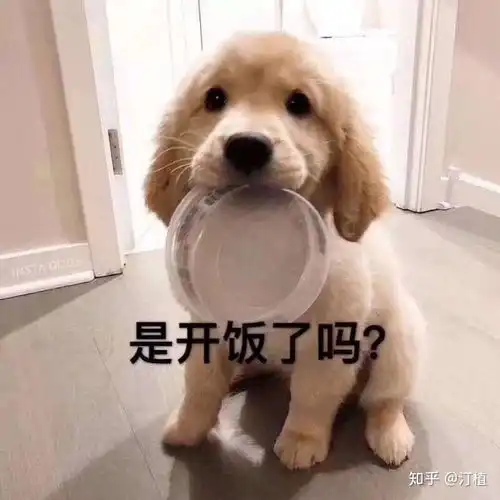 空手接白刃表情包金毛