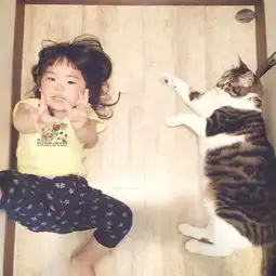 猫咪头像治愈系超清孩子