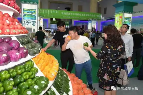 河套胡焕庸线西北的一个奇迹