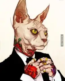 meowfiacat