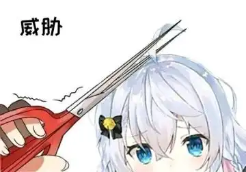哔哩哔哩