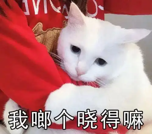 家里橘猫长了肿瘤我哭着带去医院,医生该减肥了
