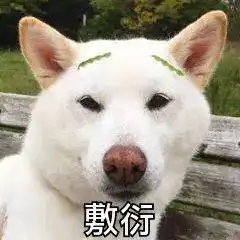 今日份搞笑表情包