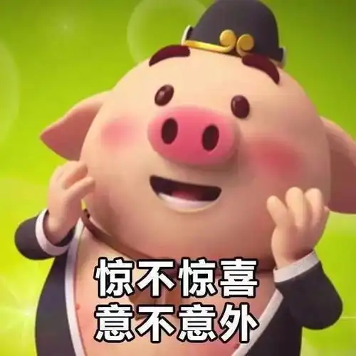 猪动图表情包没意思