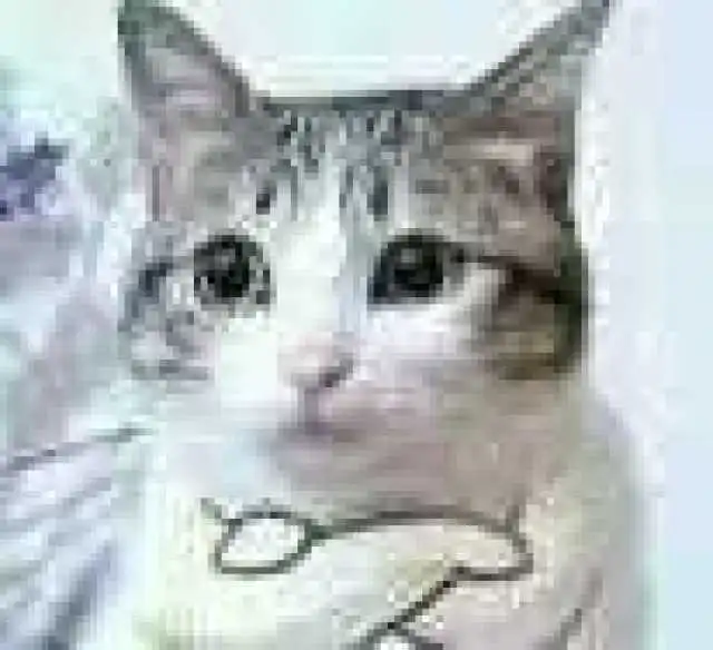 卡通猫狗情侣头像一对