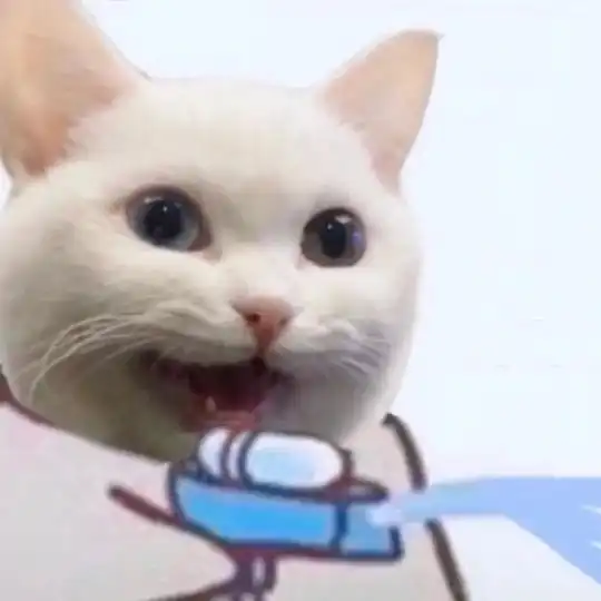 猫系女友头像可爱洗澡