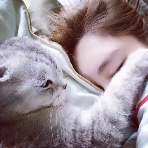 女头白茶清欢无别事