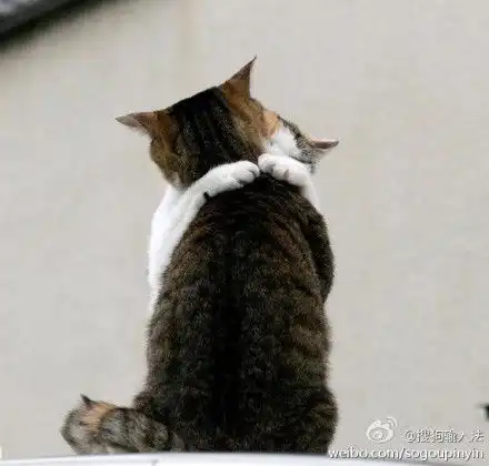 额