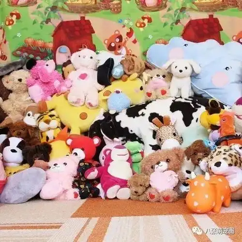 世界上有一种超级无敌可爱的生物,叫做玩具贵宾宝宝