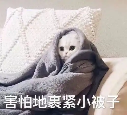 我叫小黑,我家主人起名就是这么敷衍